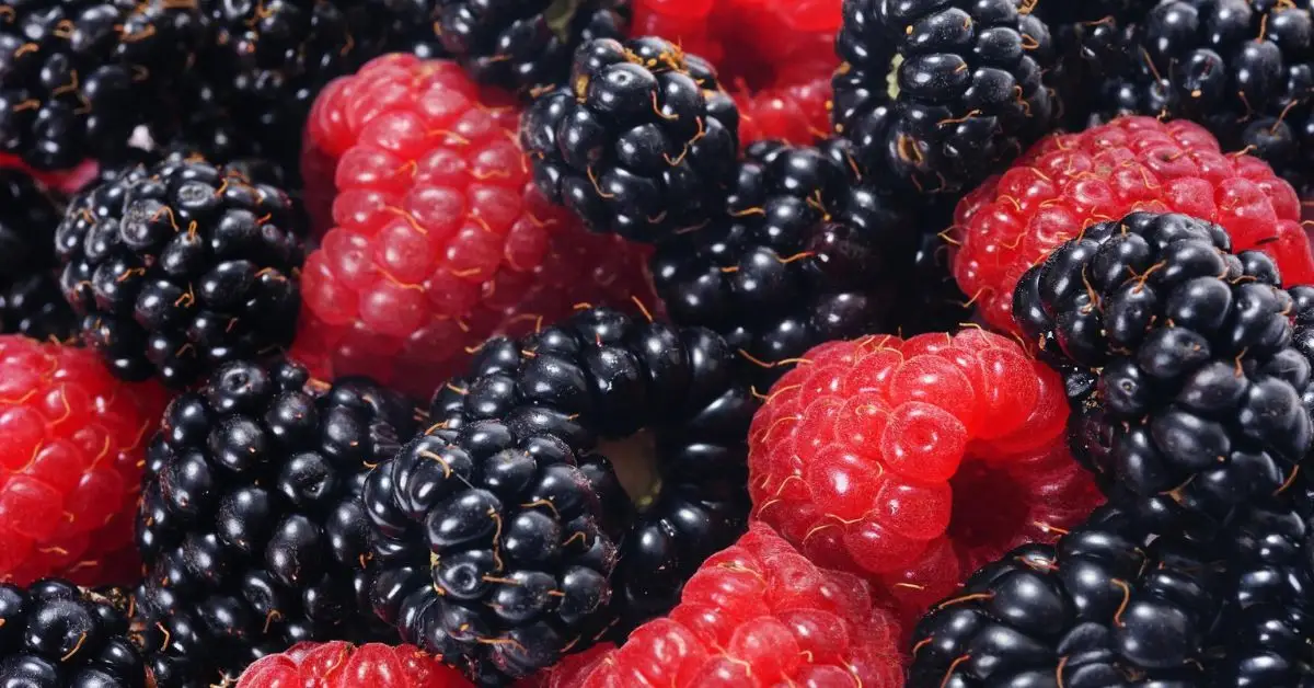 Are Strawberries Really Not Berries