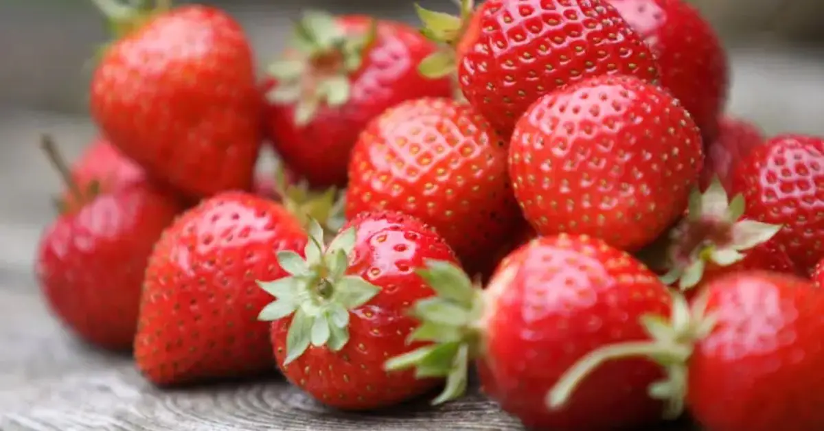 Are Strawberries Really Not Berries