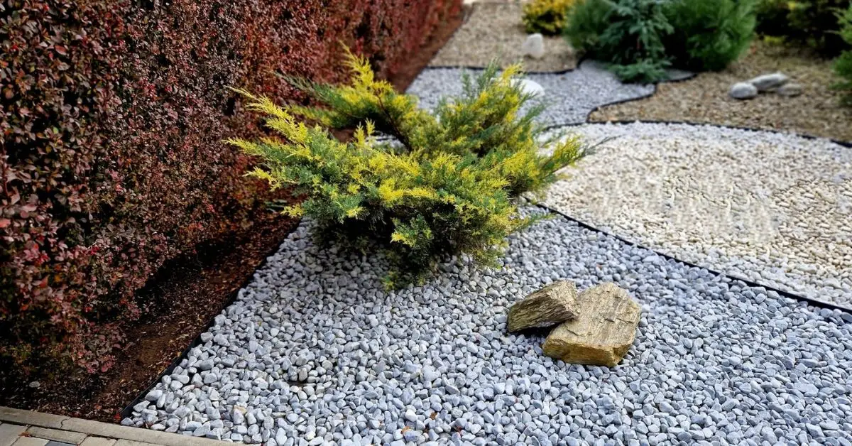 Best Mulch Types for Gardens