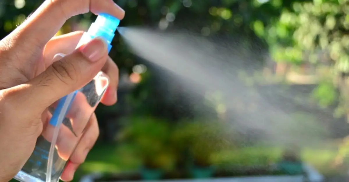 DIY Tricks to Stop Squash Bugs From Returning
