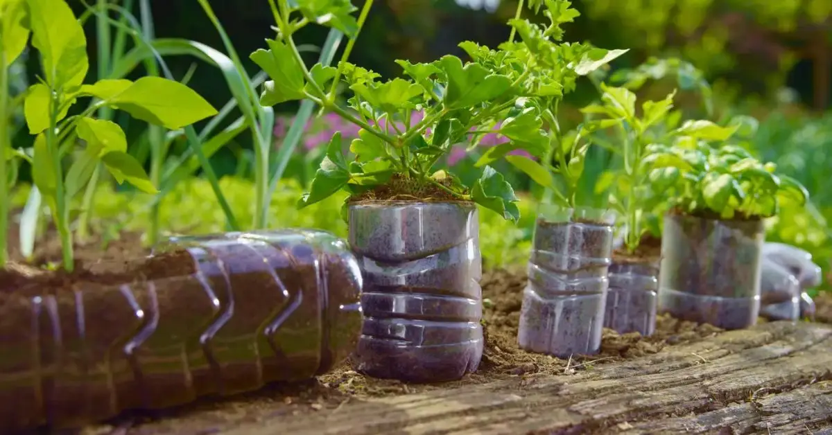 Eco-Friendly Gardening Tips