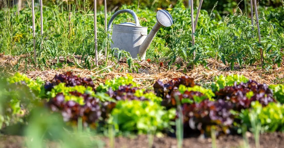 Eco-Friendly Gardening Tips