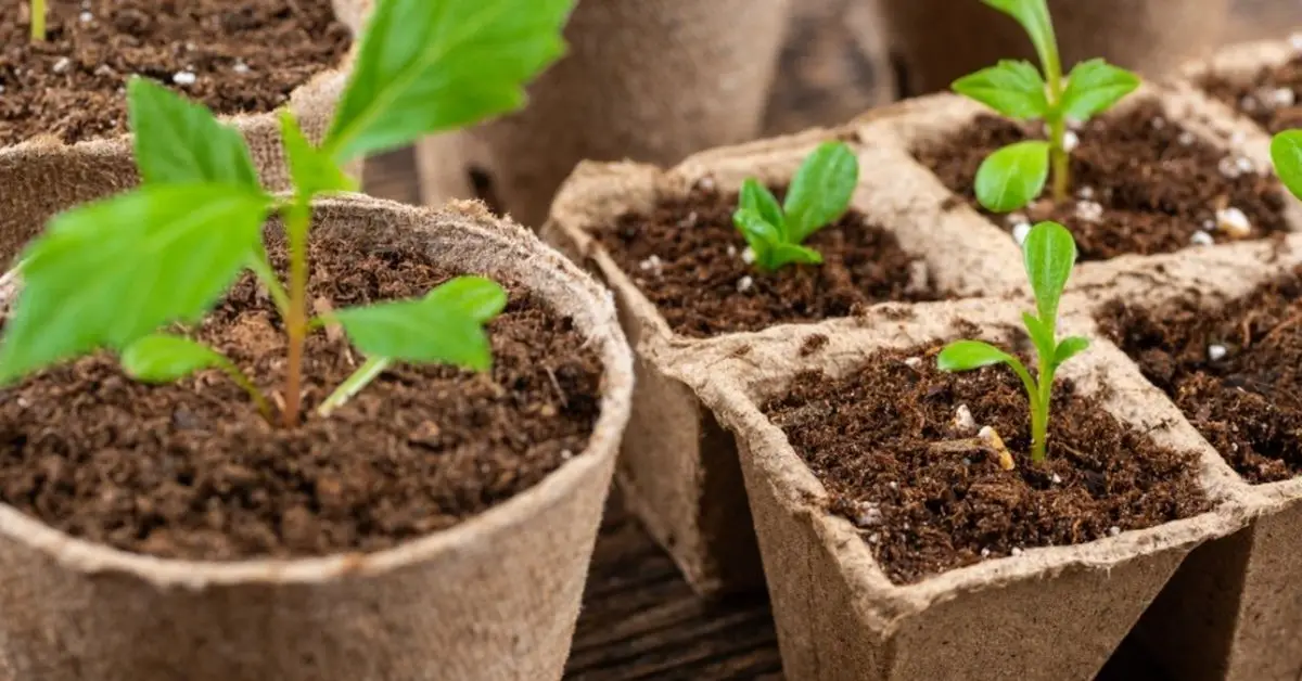 Eco-Friendly Gardening Tips