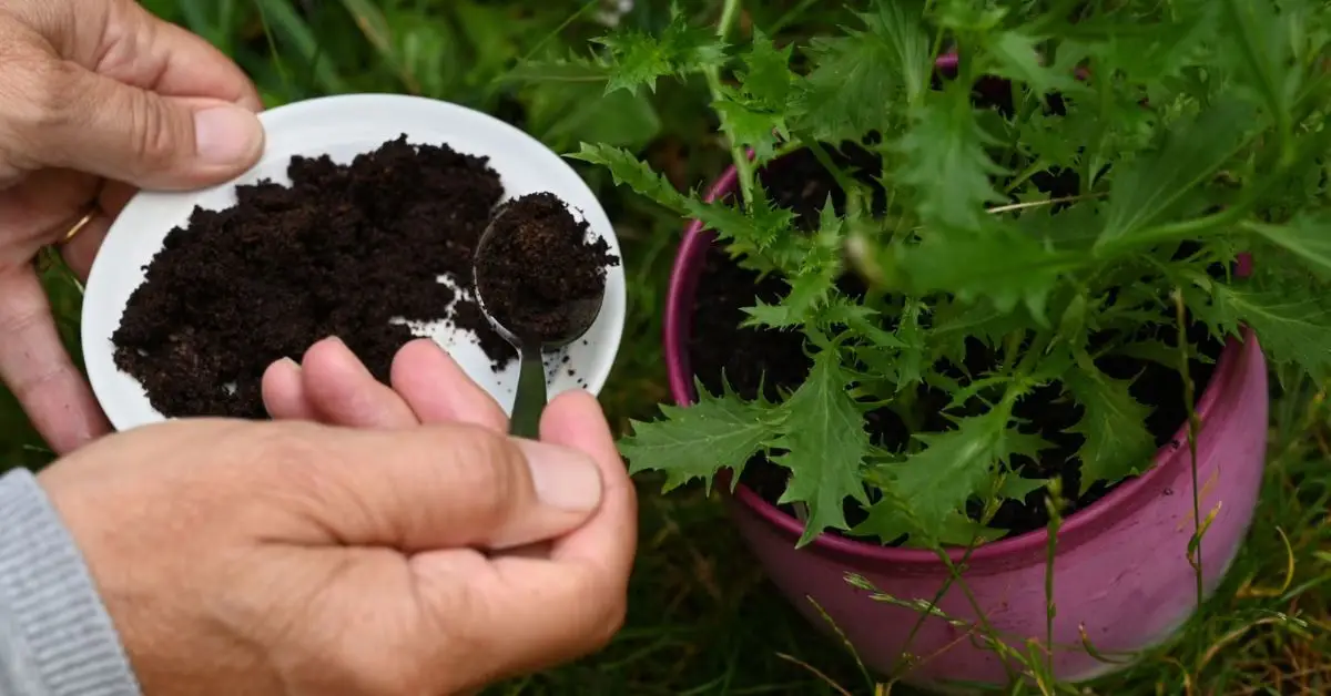 How Can You Prevent Ants from Nesting in Your Plant Pots