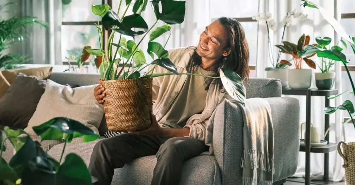 How to Protect Your Indoor Plants During the Winter