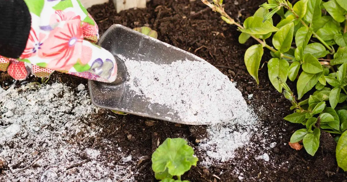Is Wood Ash Good for Plants