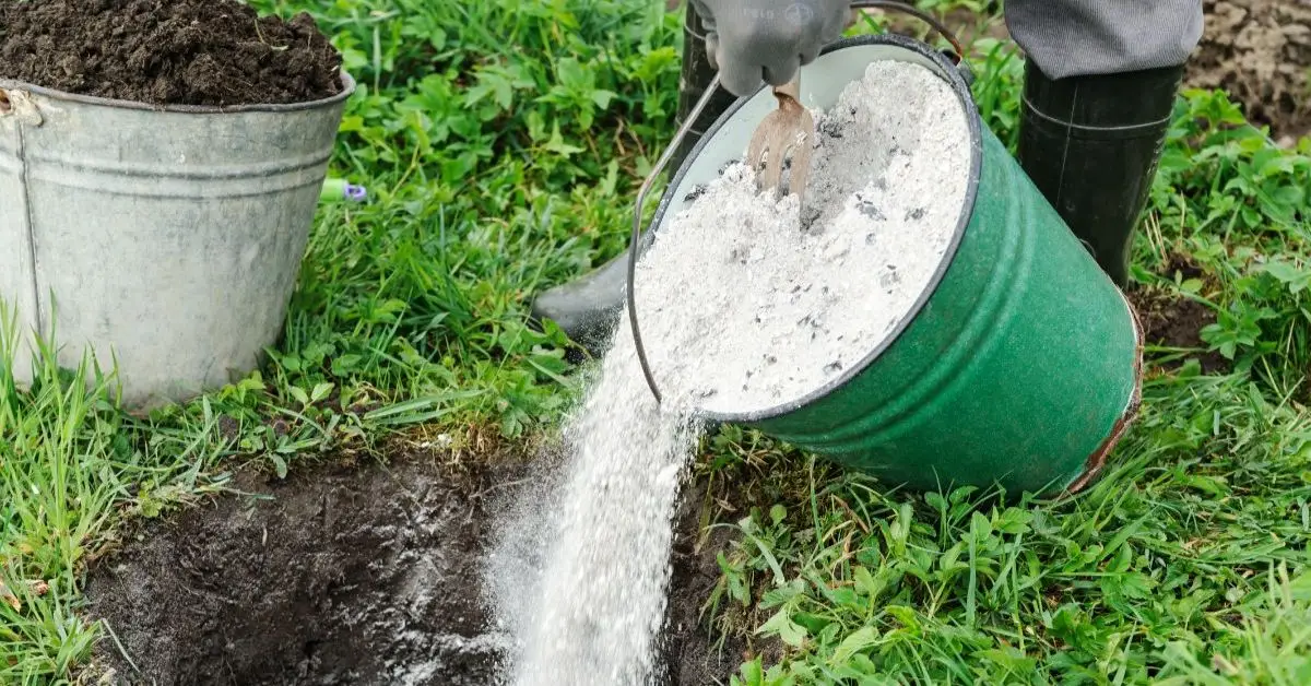 Is Wood Ash Good for Plants