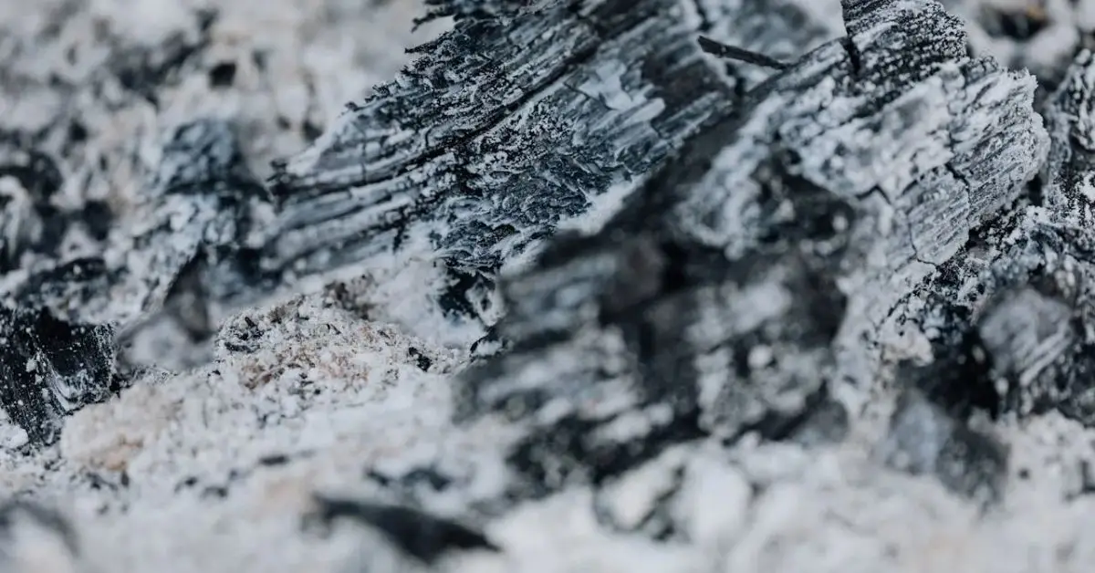 Is Wood Ash Good for Plants