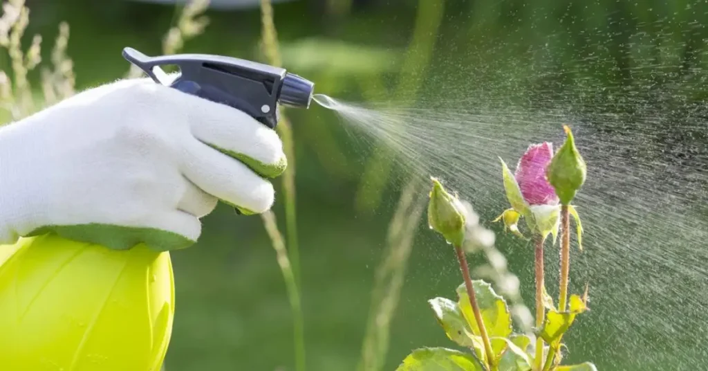 Plant-Based Pest Solutions