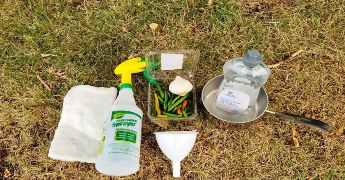 Plant-Based Pest Solutions