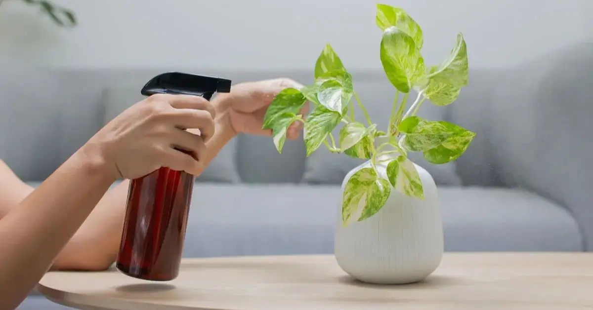 Plants Not to Use Neem Oil On