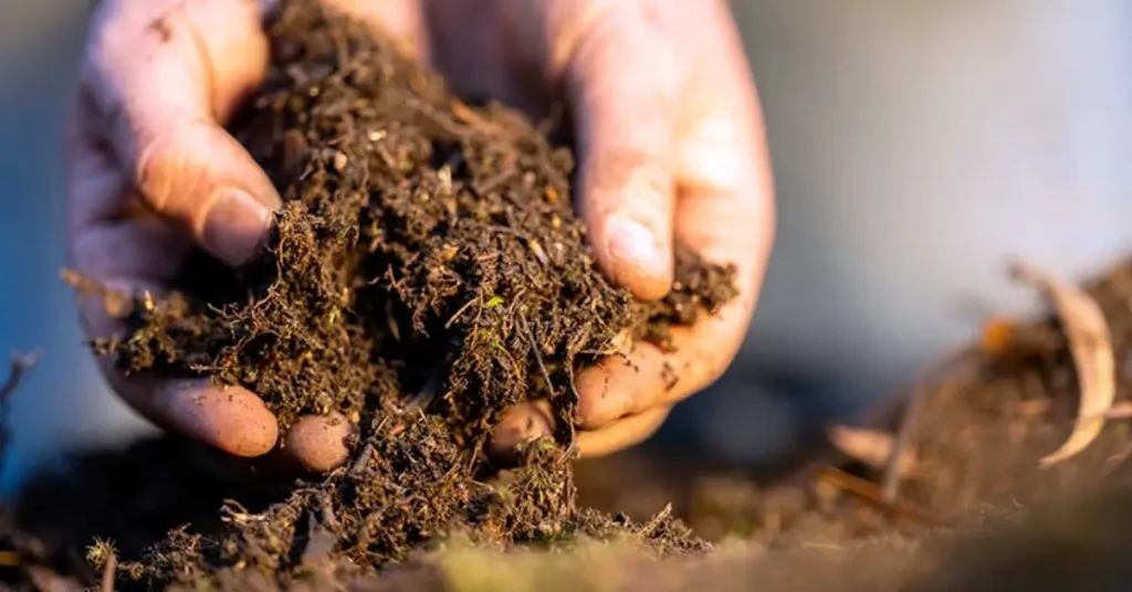 Soil Test Guide for Gardeners