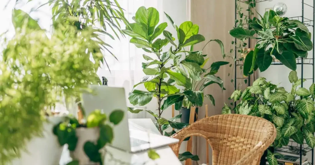 Best Indoor Plants for Pest Control