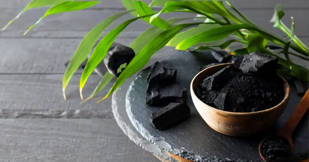 Charcoal vs Ashes in Your Plant