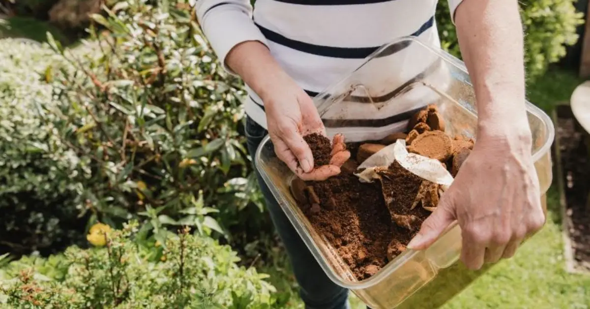 Epsom Salts for Plants