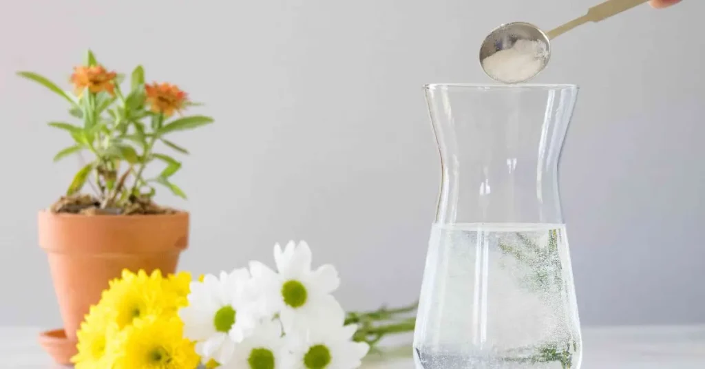 How Sugar Water Affects Your Plants