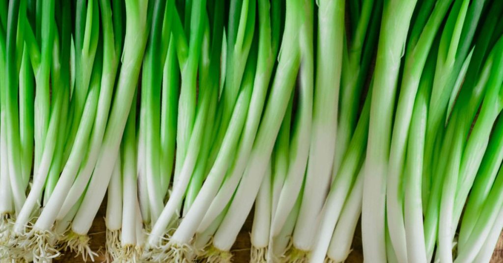 How to Grow Green Onions Easily in Small Spaces