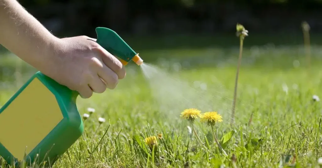 How to Kill Weeds with Salt