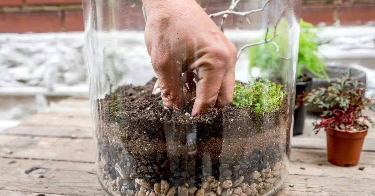 How to Make a Bioactive Terrarium
