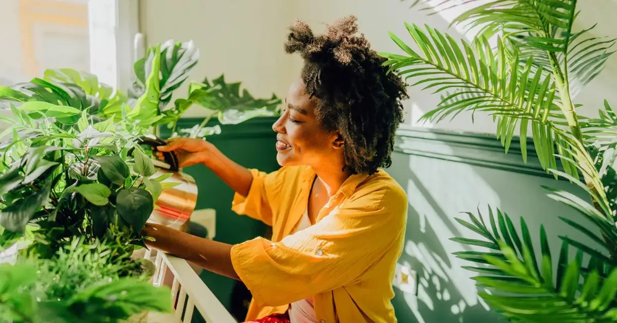 Is Your Houseplant Getting Enough Light