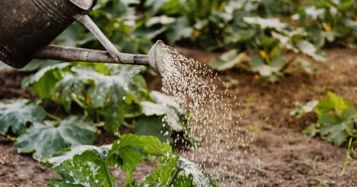 beneficial nematodes for pest control