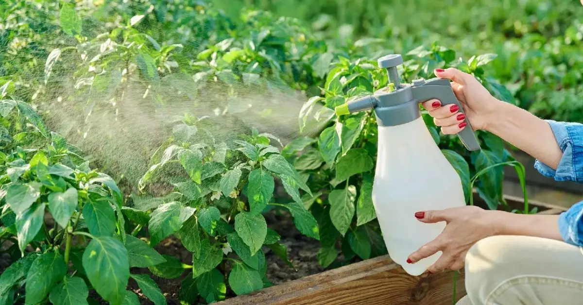 beneficial nematodes for pest control