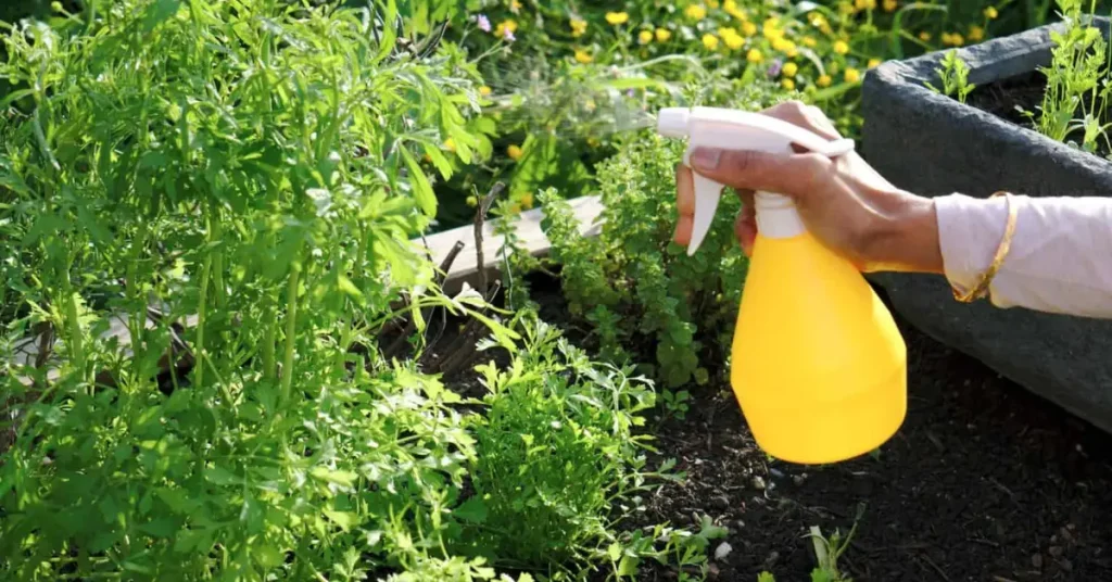 Homemade Plant Fungicide