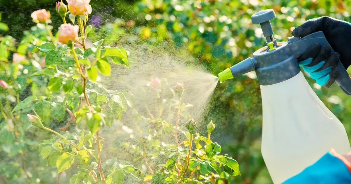 Homemade Plant Fungicide