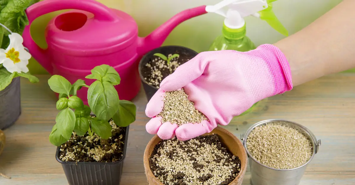 How to Use Vermiculite in Potting Soil