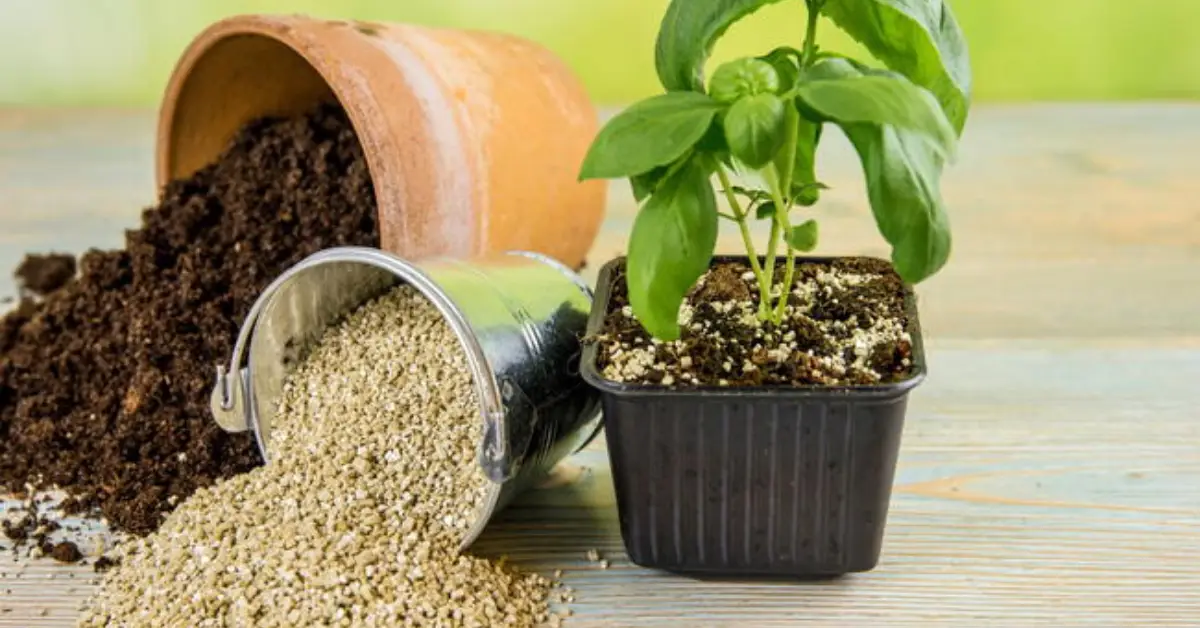 How to Use Vermiculite in Potting Soil