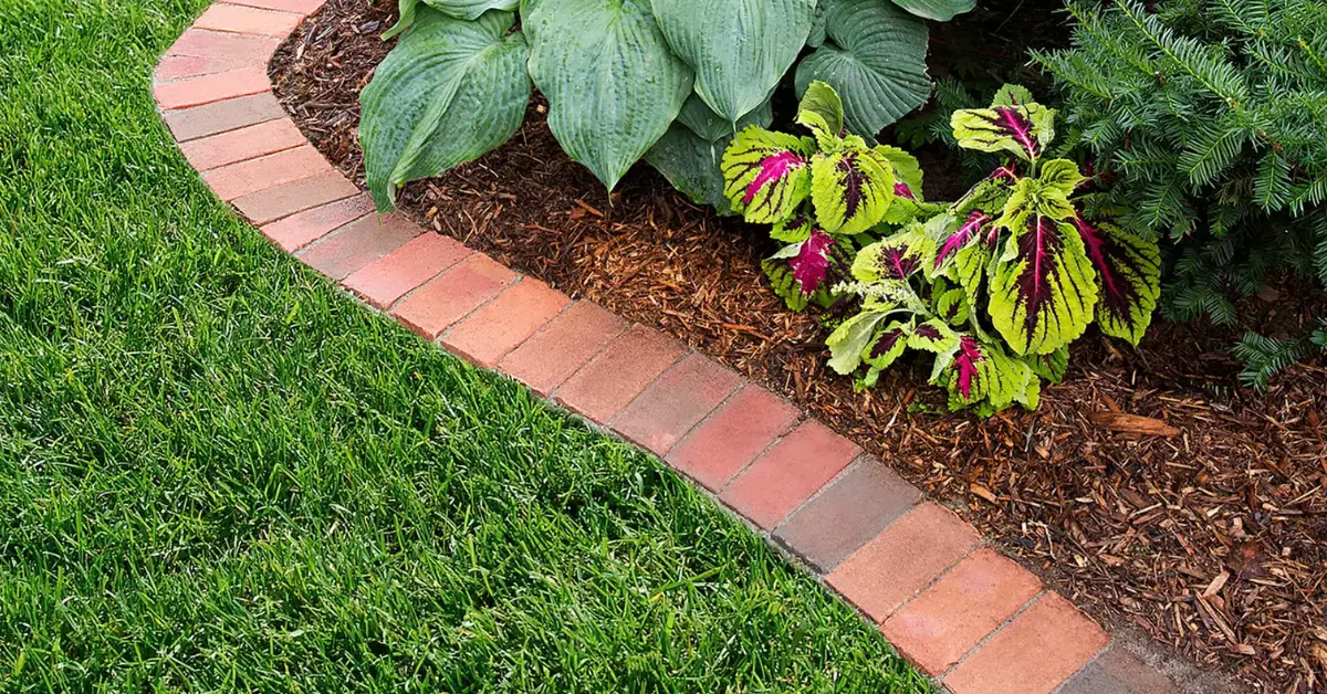 Plants That Secretly Invite Rats into Your Garden