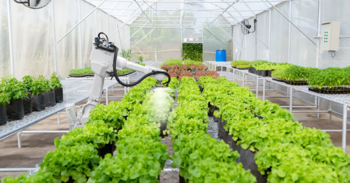 The Role of Green Light in Plant Growth