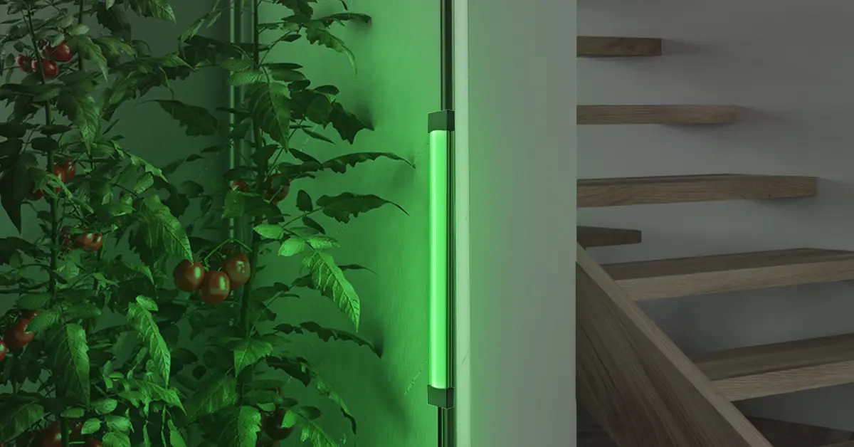 The Role of Green Light in Plant Growth