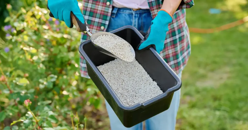 Top Plants to Fertilize in Fall