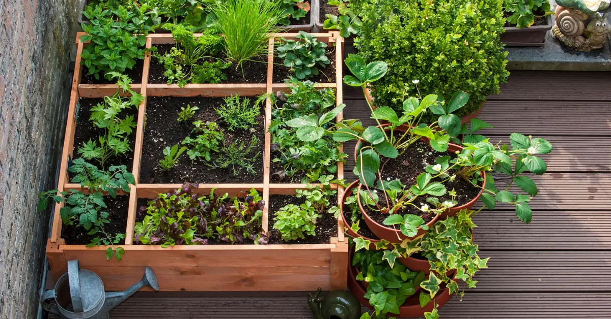 Vacation Plant Care