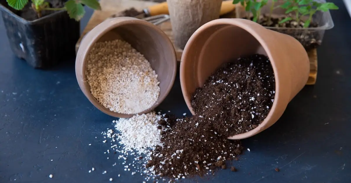 Vermiculite vs Perlite