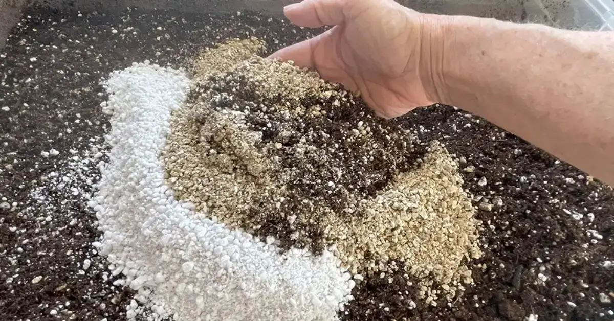 Vermiculite vs Perlite