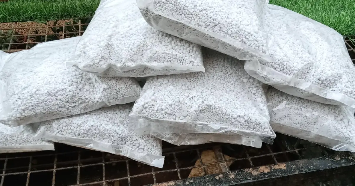 Vermiculite vs Perlite