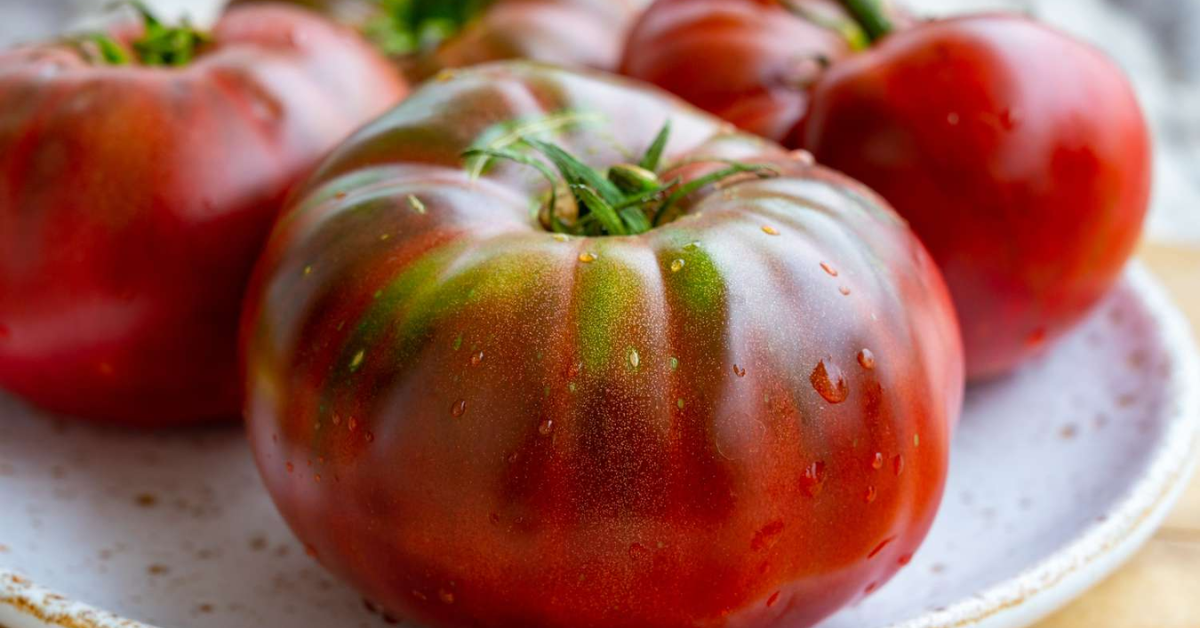 Black Krim Tomato Care