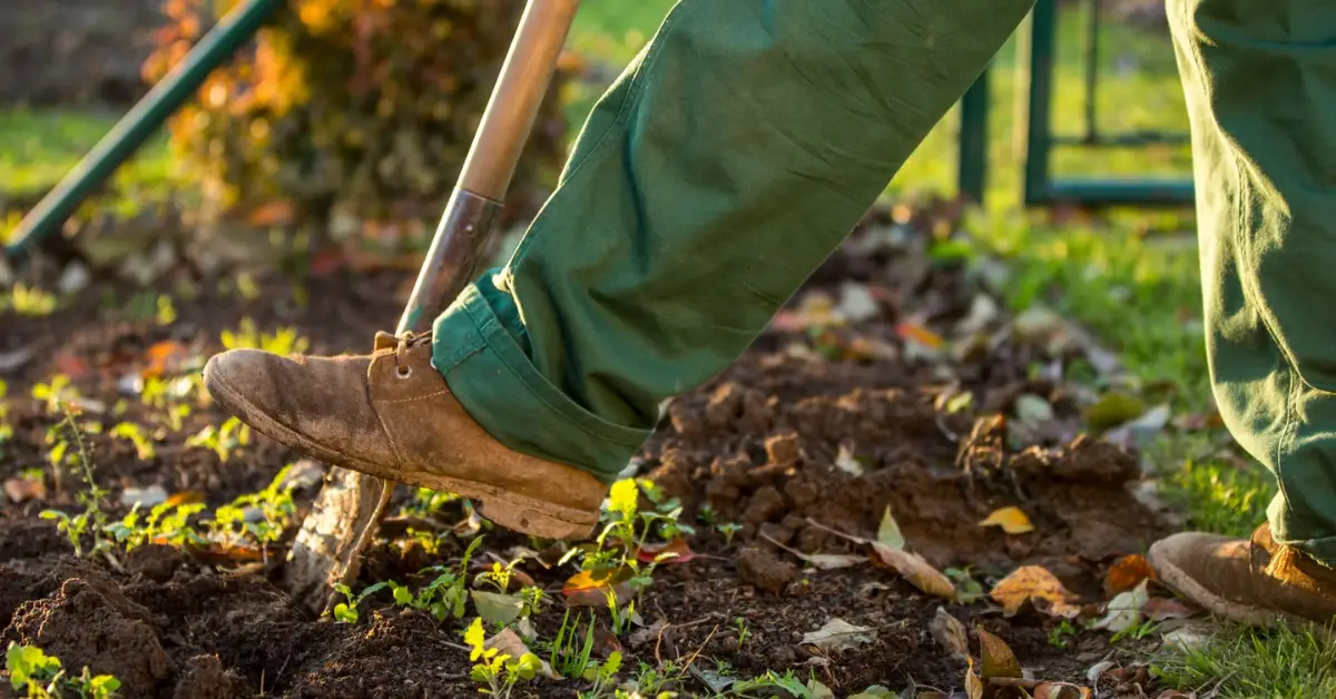 Eco‑Friendly Fall Garden Tips