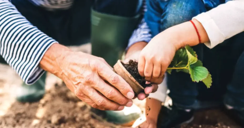Gardening Tips from Grandparents