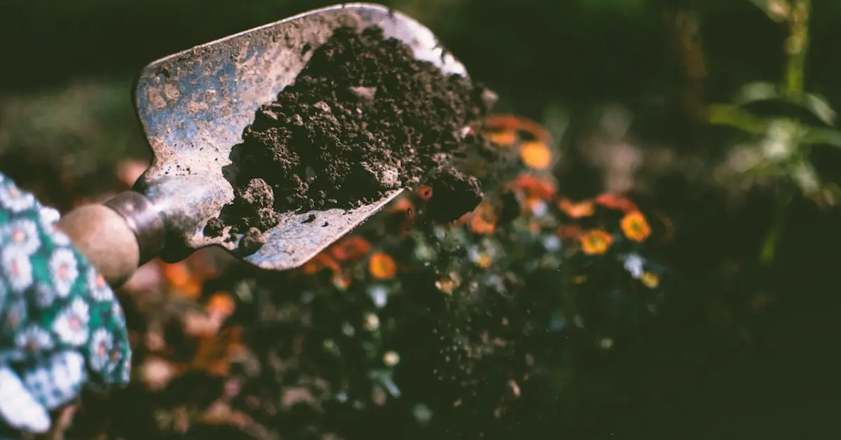 Gardening Tips from Grandparents
