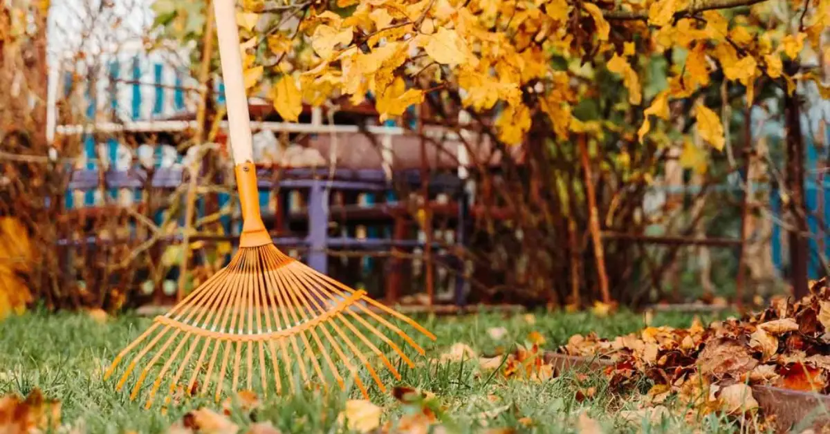 How to Prepare Your Garden for Winter