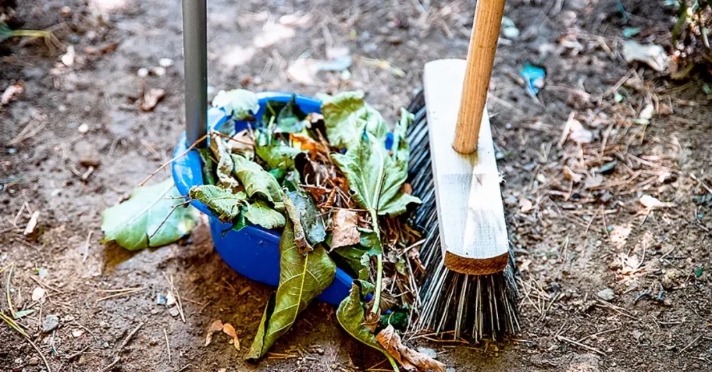 How to Prepare Your Garden for Winter