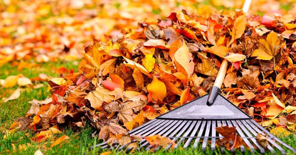 How to Use Fallen Leaves in Your Garden