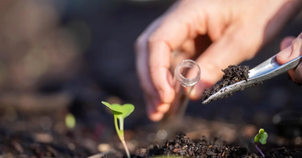 Never Use This Fertilizer on Your Plants