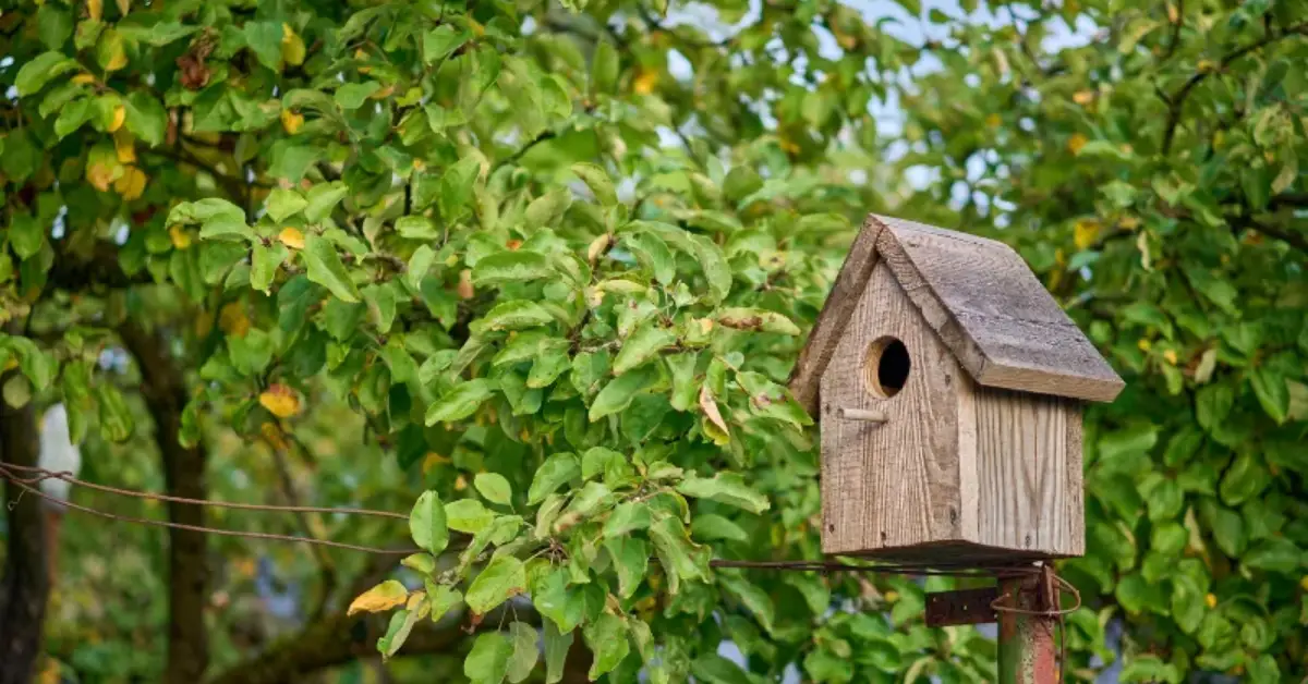 November Tasks to Protect Plants and Animals