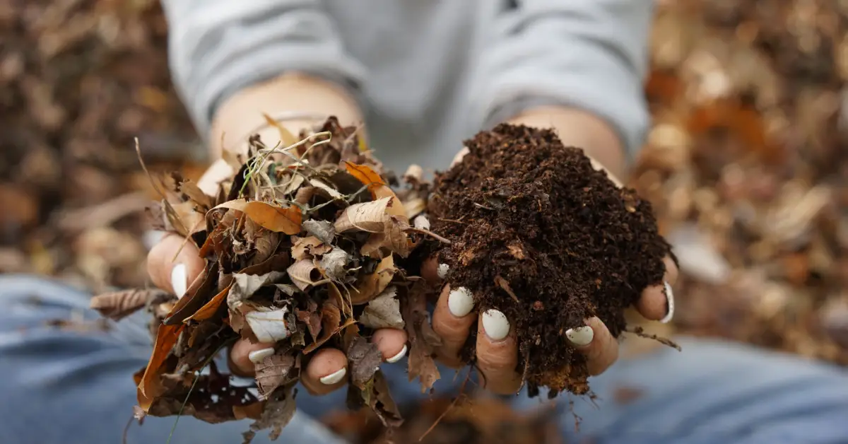 Winterize Your Garden