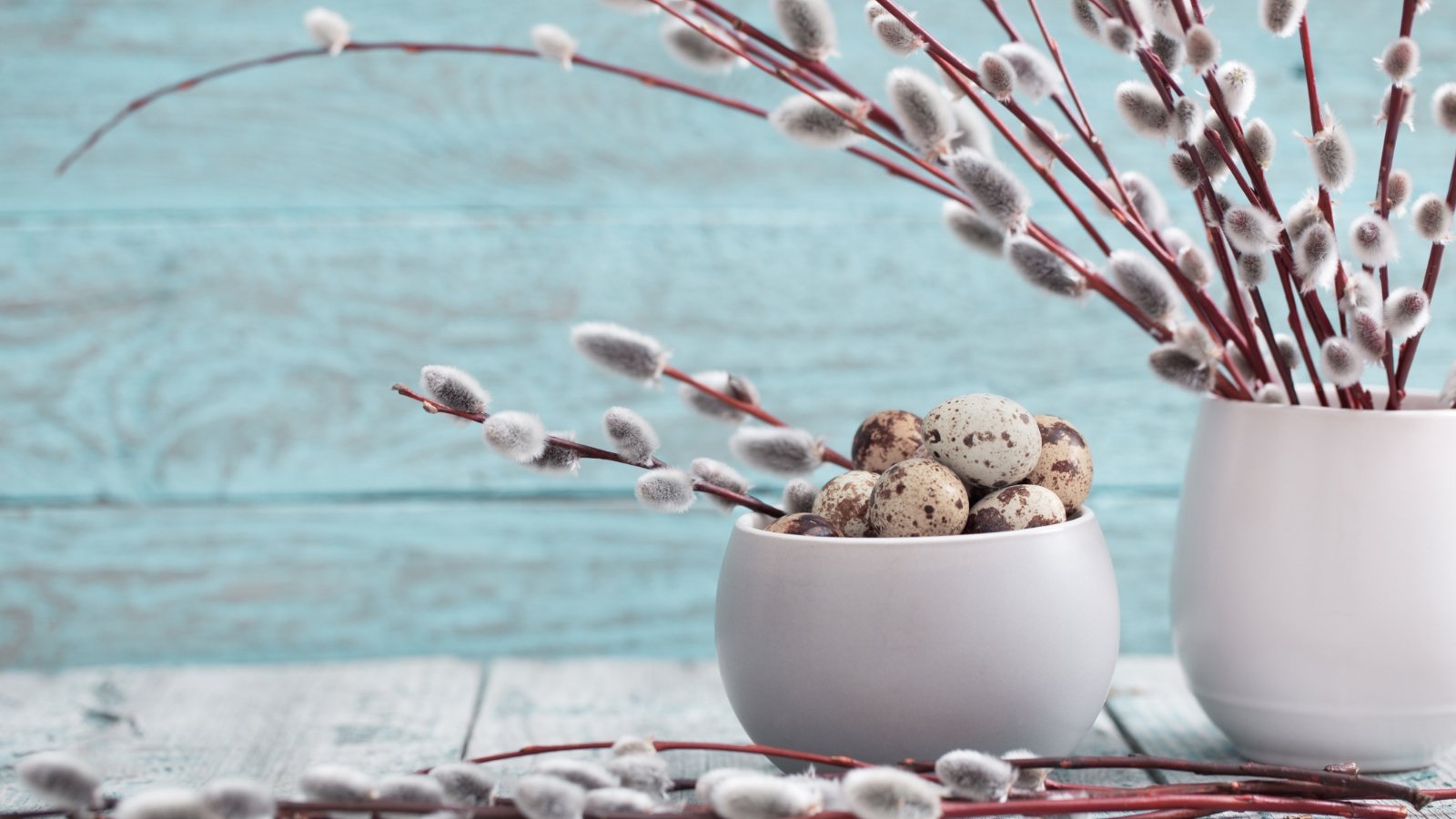 Frost-Proof Flowers