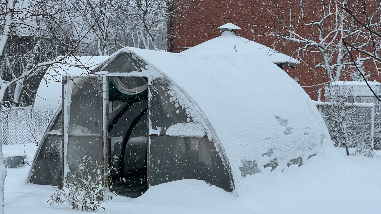 Small gray greenhouse covered in snow during a blizzard